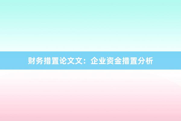 财务措置论文文：企业资金措置分析